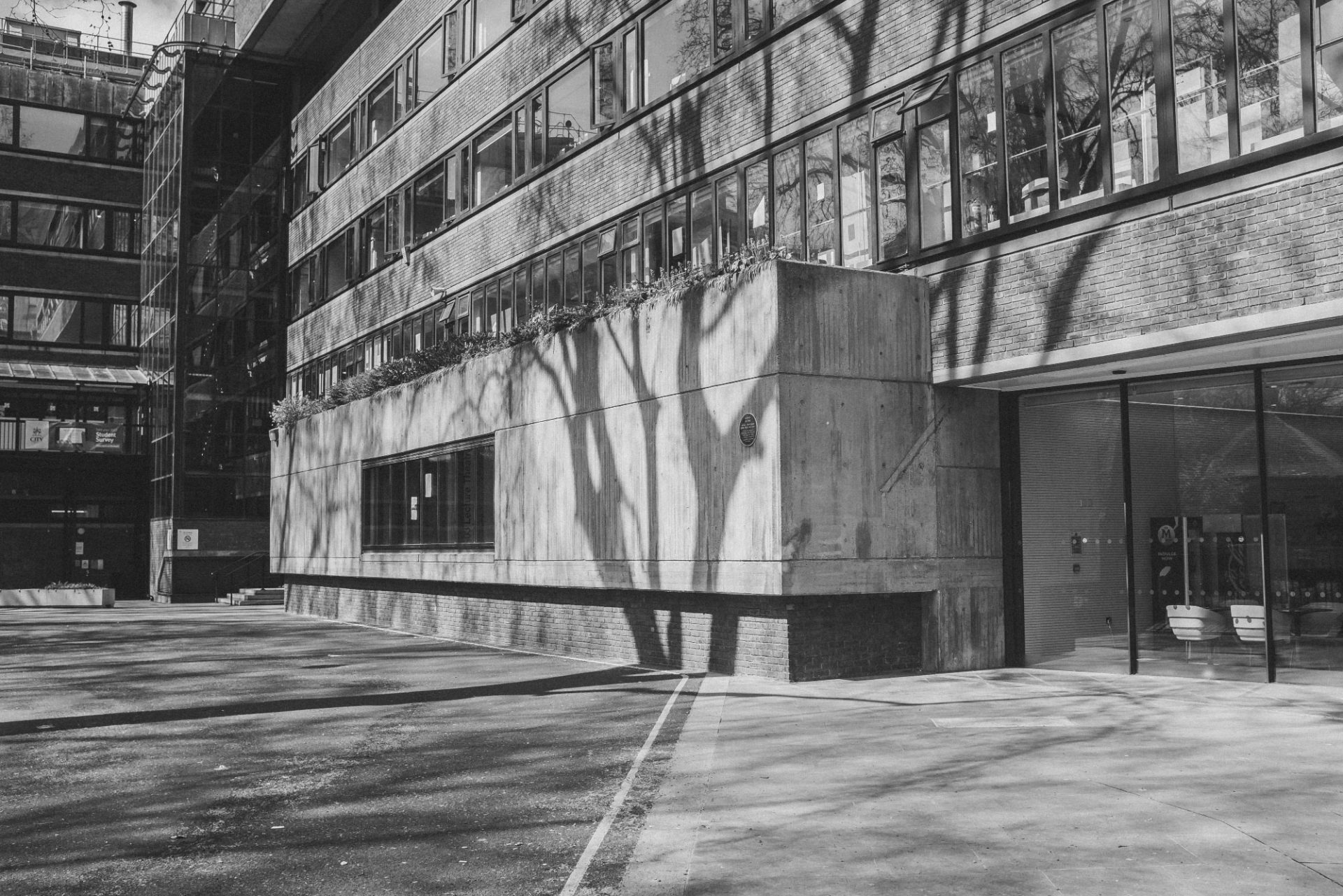 City University of London